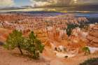 Bryce Canyon, Bryce Canyon National Park, Utah Art Print